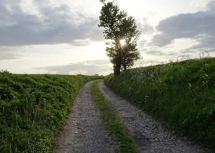 12 Person In Bredebro-by Traum Сasa de vacaciones
