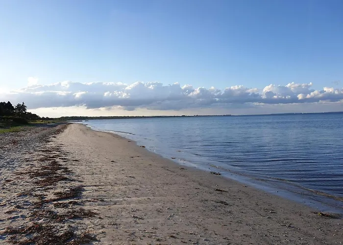 12 Person In Bredebro-by Traum Сasa de vacaciones Bredebro